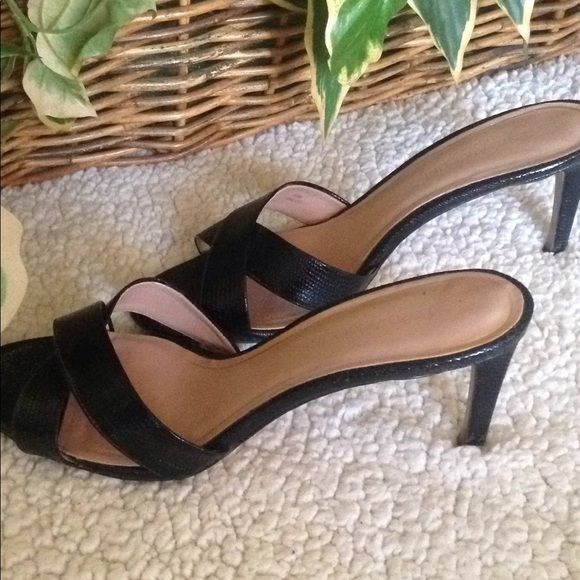 Enzo Angiolini - Picture 6 of 8